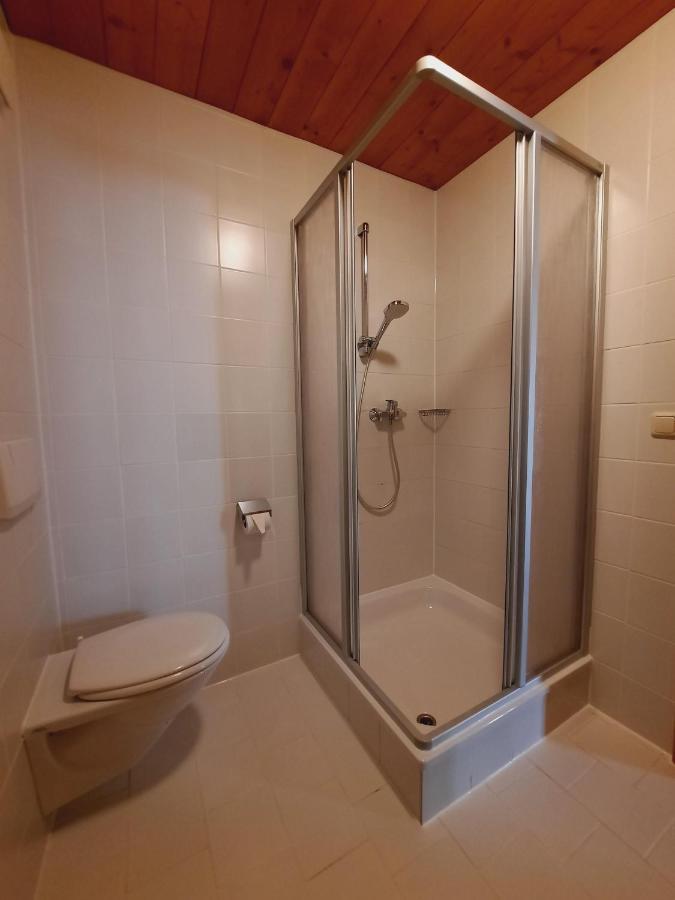 Ferienwohnung Erhart Scheffau Шефау ам Вилден Кайзер Екстериор снимка